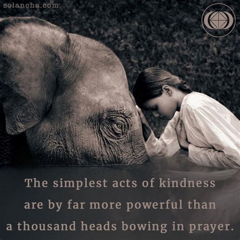 kindness qoute|inspirational kindness quotes.